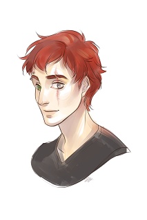 Robin By Doro
